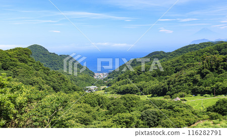 Rice terraces in Ishibe, Matsuzaki Town, Kamo District, Shizuoka Prefecture Rice terraces in Ishibe, Matsuzaki Town, Kamo District, Shizuoka Prefecture 116282791
