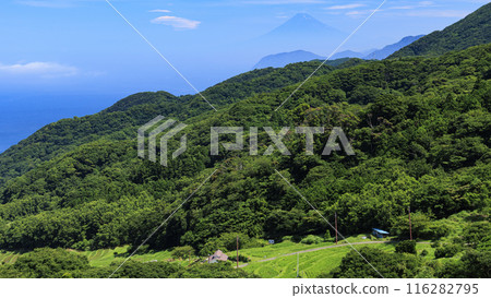 Rice terraces in Ishibe, Matsuzaki Town, Kamo District, Shizuoka Prefecture 116282795