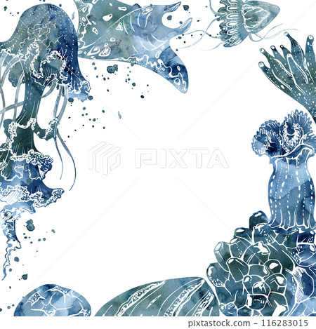Watercolor and ink hand drawn marine life, sea ocean underwater creatures. fish, shells algae seaweed. Border frame illustration, stylized, isolated on white. For zoo shop, aquarium, cosmetics, resort Watercolor and ink hand drawn marine life, sea ocean underwater creatures. fish, shells algae seaweed. Border frame illustration, stylized, isolated on white. For zoo shop, aquarium, cosmetics, resort 116283015