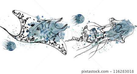 Watercolor and ink hand drawn marine life, sea ocean underwater creatures. fish, shells algae seaweed. Seamless banner illustration, stylized, isolated on white. For zoo shop, aquarium, fabric decor Watercolor and ink hand drawn marine life, sea ocean underwater creatures. fish, shells algae seaweed. Seamless banner illustration, stylized, isolated on white. For zoo shop, aquarium, fabric decor 116283018