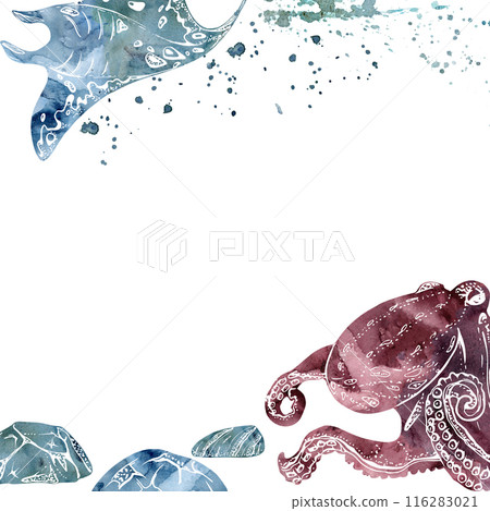 Watercolor and ink hand drawn marine life, sea ocean underwater creatures. fish, shells algae seaweed. Border frame illustration, stylized, isolated on white. For zoo shop, aquarium, cosmetics, resort 116283021