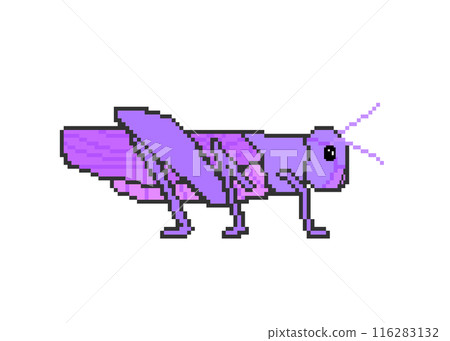Grasshopper_Pixel Art (Purple) 116283132