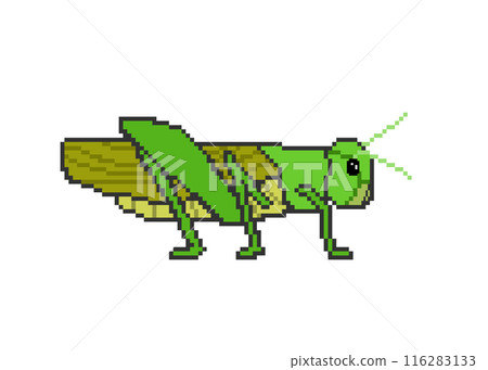 Grasshopper_Pixel art Grasshopper_Pixel art 116283133