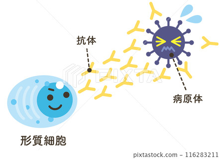 發射針對病原體的抗體的漿細胞(帶字母) 發射針對病原體的抗體的漿細胞(帶字母) 116283211