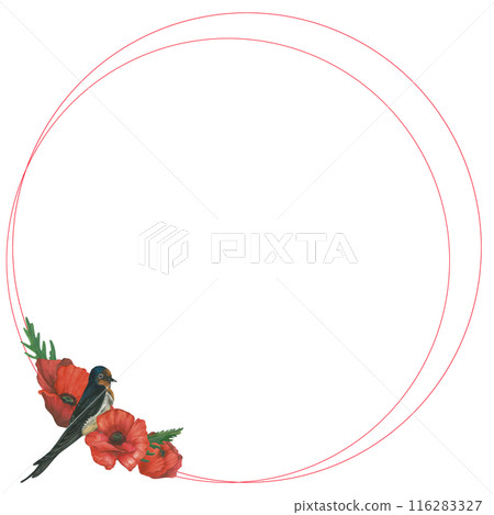 Round frame of watercolor illustrations of a red poppy and a swallow. Hand drawn, isolated on a white background. For congratulations and cards Round frame of watercolor illustrations of a red poppy and a swallow. Hand drawn, isolated on a white background. For congratulations and cards 116283327