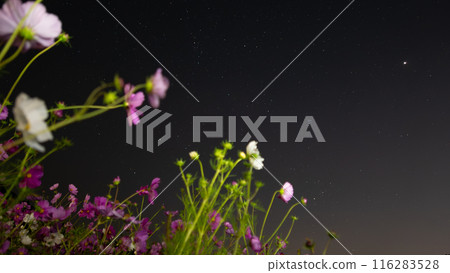 漂浮在星空中的宇宙 漂浮在星空中的宇宙 116283528