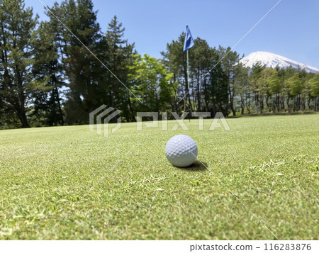 Golf course and a beautiful white golf ball 116283876