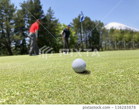 Golf course and a beautiful white golf ball 116283878
