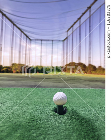 Golf practice range and beautiful white golf balls 116283879