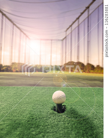 Golf practice range and beautiful white golf balls Golf practice range and beautiful white golf balls 116283881