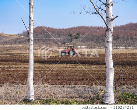 A tractor working at the Yachiyo Public Ranch in Obihiro (Obihiro, Hokkaido) A tractor working at the Yachiyo Public Ranch in Obihiro (Obihiro, Hokkaido) 116284251