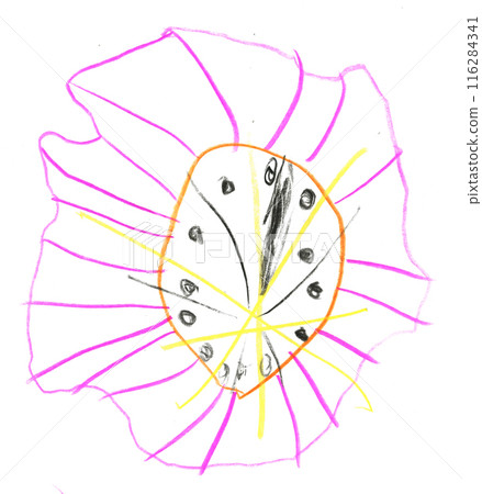 Childlike drawing of a flower on a white background. 116284341