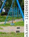 Swing_Jungle gym 116284430