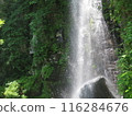 瀑布和噴霧 116284676
