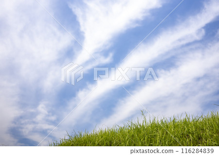 夏季雲彩和蒜山高原草原 116284839