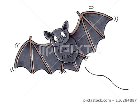 Flying bats 116284887