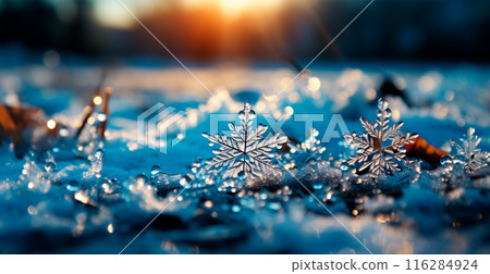 Winter frost, frosty snowflakes, cold weather - AI generated image 116284924