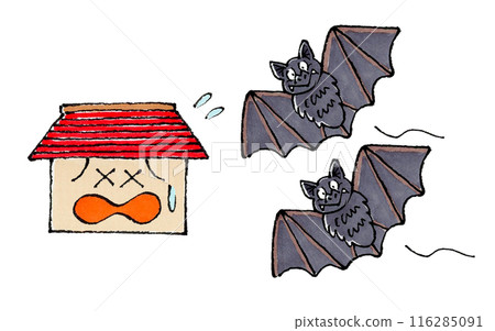 Bats invading the house (unwelcome house) Bats invading the house (unwelcome house) 116285091