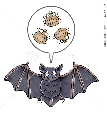Bats and ticks 116285096