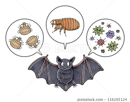 蝙蝠和寄生蟲（蟎蟲、跳蚤、病原體） 116285124