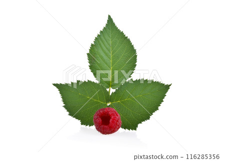 ripe raspberries with green leaf isolated on white background. 116285356