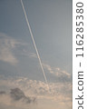 Contrail  116285380