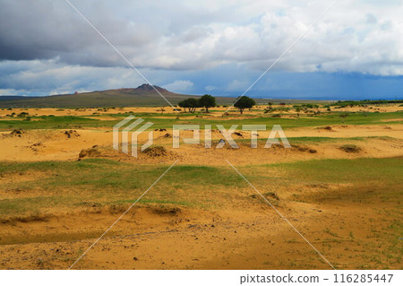 Elsentasarkhai sand dunes, Mini Gobi, Mongolia Elsentasarkhai sand dunes, Mini Gobi, Mongolia 116285447