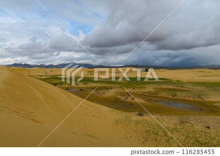Elsentasarkhai sand dunes, Mini Gobi, Mongolia 116285455