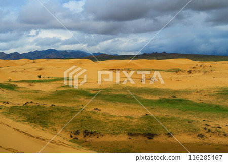 Elsentasarkhai sand dunes, Mini Gobi, Mongolia 116285467