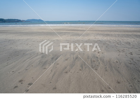 Waves crashing on the sand at Yuigahama Beach, Kanagawa Prefecture 116285520