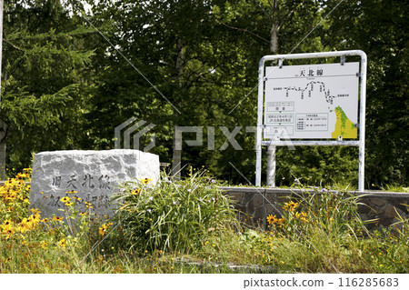 Stone monument and station sign on the platform of the former Tenpoku Line 116285683