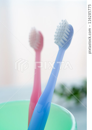 牙刷和杯子 116285775