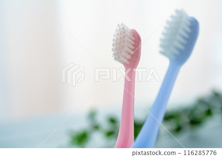 Toothbrush 116285776