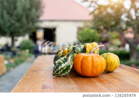 Pile of many fresh ripe orange bright pumpkins decor on wooden table at pumpkin farm backyard. Halloween thanksgiving celebration symbol plant. Country rustic squash autumn background 116285979