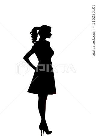 Dressed up woman silhouette 116286103