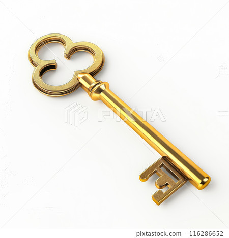 Golden key isolated on white 116286652