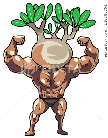 Muscular Pachypodium Gracilis (Color 1 116286751