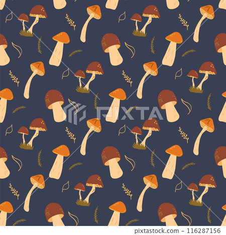 Edible mushrooms seamless pattern. Various fungus endless background. Vector hand drawn flat illustration. Edible mushrooms seamless pattern. Various fungus endless background. Vector hand drawn flat illustration. 116287156