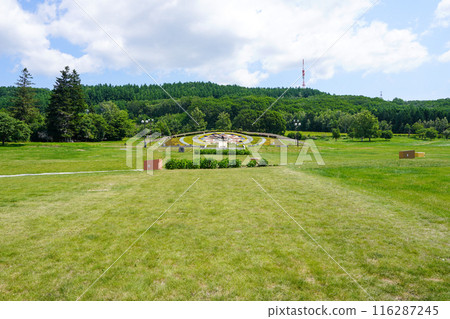 Hanak,十勝丘公園的花鐘 Hanak,十勝丘公園的花鐘 116287245