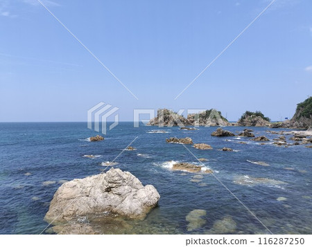 Reef in the Sea of Japan 116287250