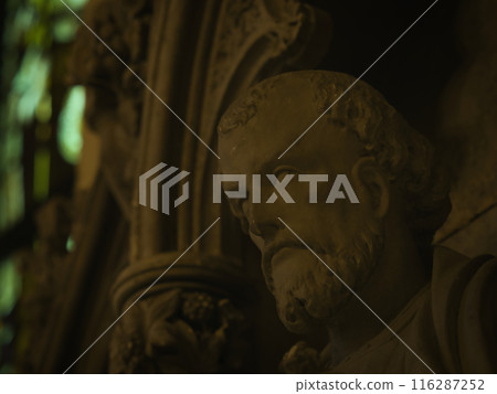 Dark-looking male statue 116287252