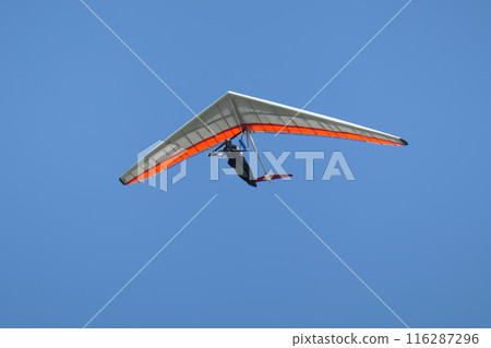 Hang glider flying in the blue sky 116287296