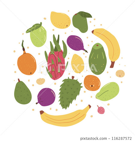 Round emblem of tropical fruits isolated on white background. Set of exotic sweet dessert Vector hand drawn flat collection illustration. 116287572