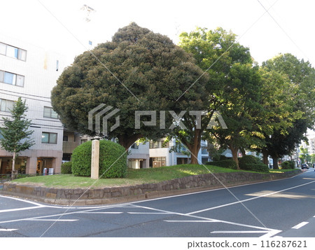 東京都北區西原市裡塚（南側） 116287621