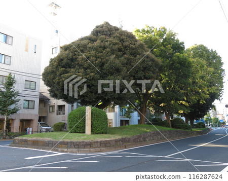 東京都北區西原市裡塚（南側） 116287624