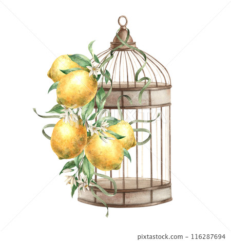 Metal bird cage with a branch of yellow lemons and greenery, thin satin ribbons. Isolated watercolor illustration in vintage style. Composition drawn for interior, cards, wedding design, invitations. 116287694