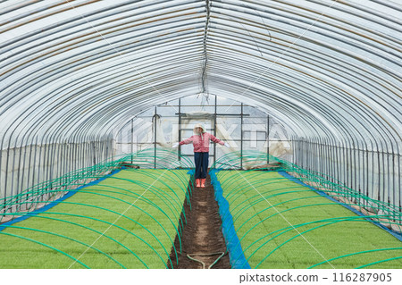 Female farm workers Female farm workers 116287905