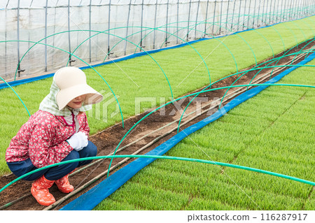 Female farm workers Female farm workers 116287917
