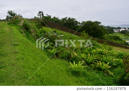 Katsuren Castle 237 116287979