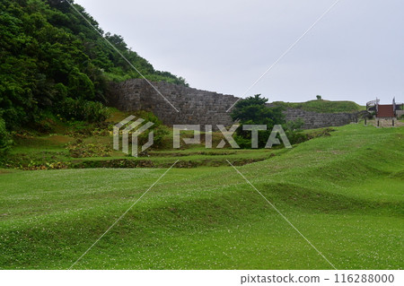 勝蓮城 252 116288000